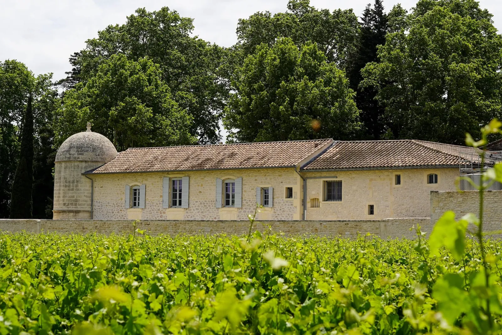 Vignes et façade du Domaine de Saint-Roch